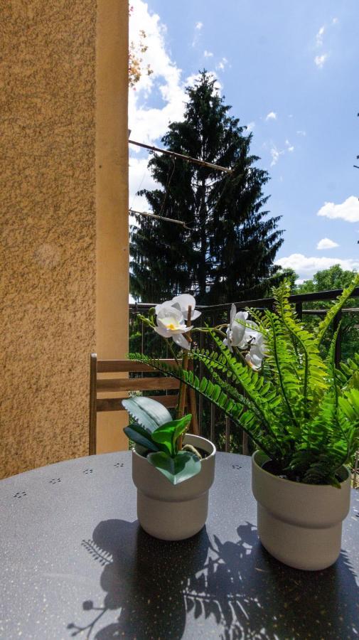 Lk43-Lodging City-Apartments, Kontaktlos Mit Self Check-In Γκρατς Εξωτερικό φωτογραφία